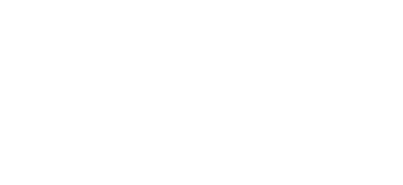 ویزا logo